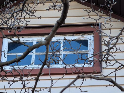Ext Window1